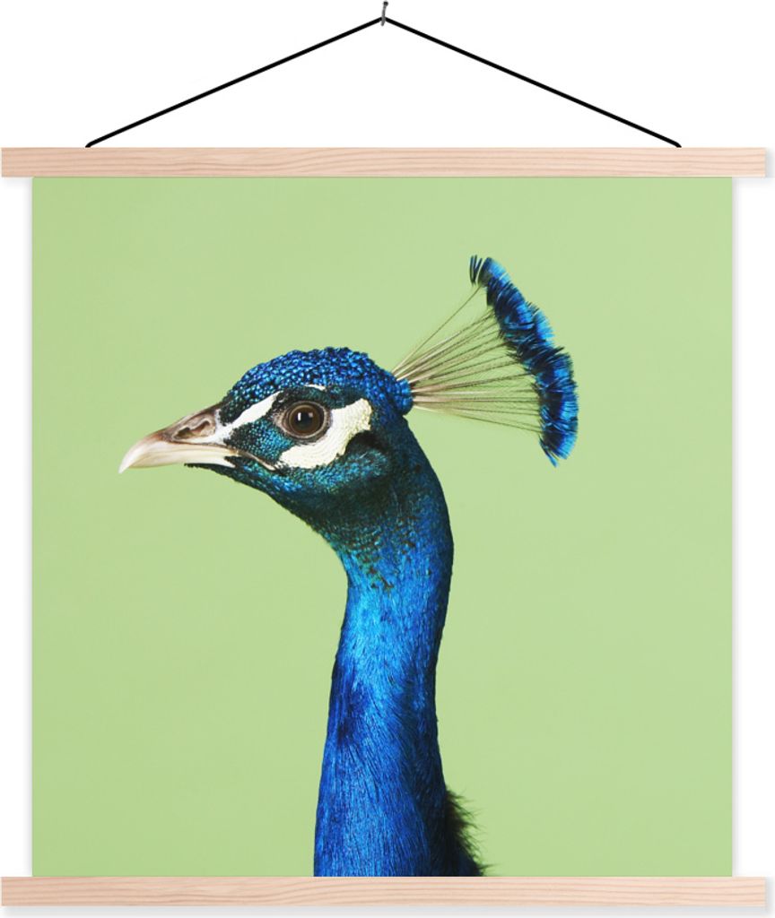 MuchoWow Textilposter Pfau - Vogel - Federn 60x60 cm mit holzfarbenen Rahmen - Wanddekoration