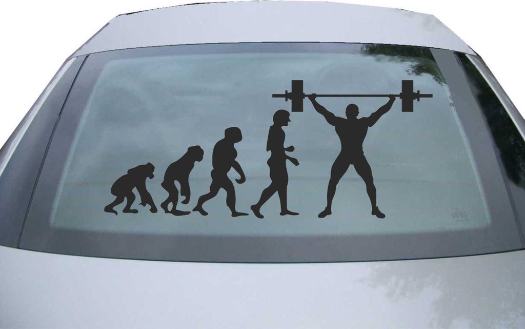 Indigos UG - Aufkleber Heckscheibe & Motorklappe DE7091 - schwarz - 600x252 mm - Evolution Gewichtheber - Auto Scheiben Fenster Heckklappe Tuning R...