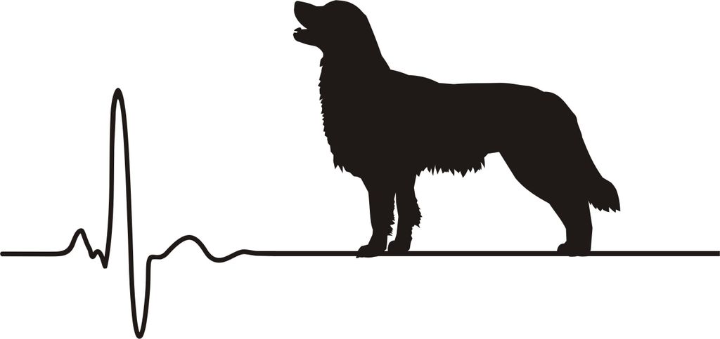 Golden Retriever, Herzschlag Hund, Autoaufkleber