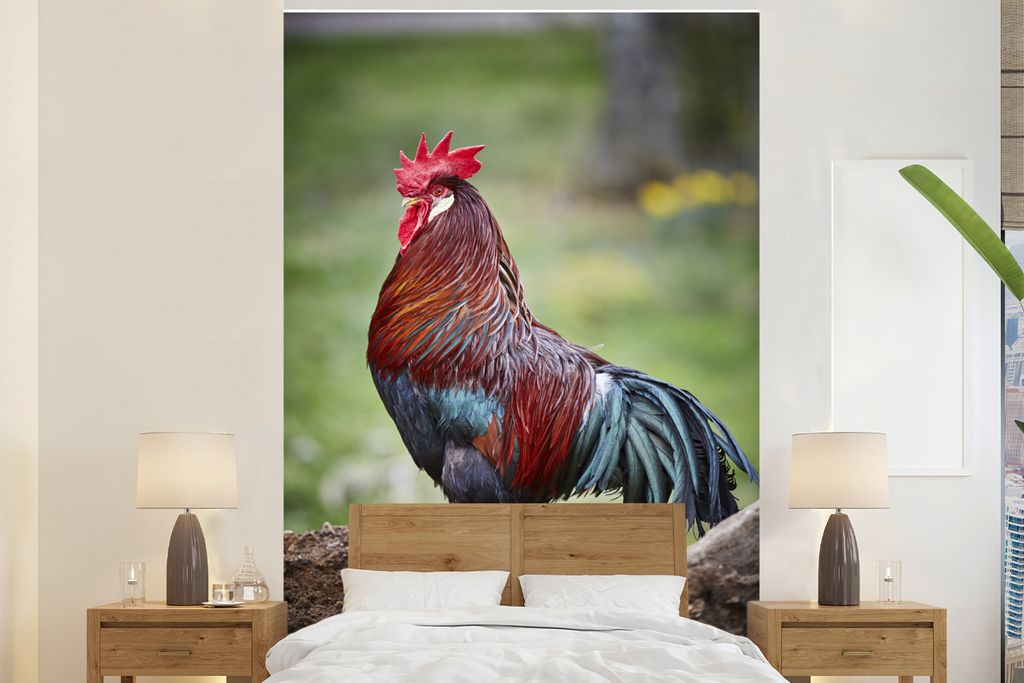 MuchoWow Fototapete für Wohnzimmer oder Schlafzimmer Wandtapete Vinyl Motivtapete Hahn Fotodruck - 145x220 cm - Wanddekoration