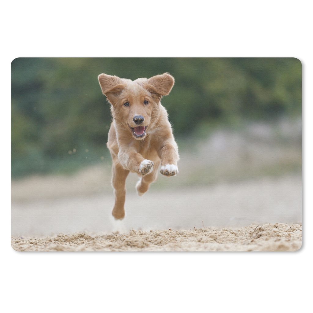 MuchoWow Schreibtischunterlage Laufender Hund Foto 60x40 cm - XXL Mauspad - Großes Mauspad