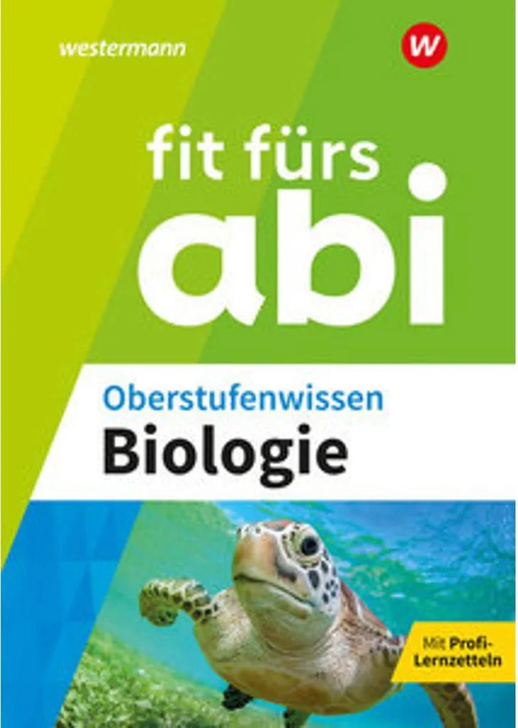 Préparer le Bac d'allemand avec Fit fürs Abi : Entraînement et Exercices