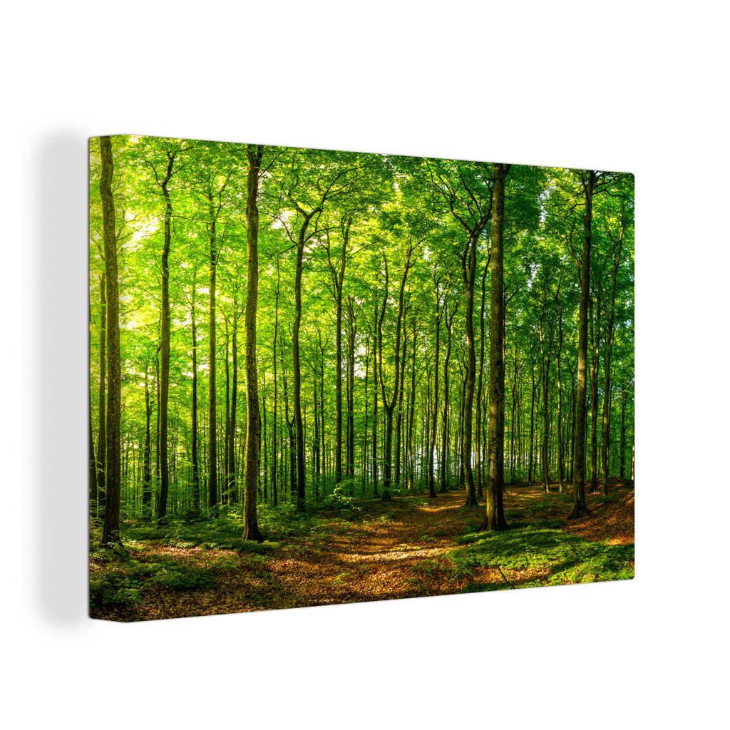 OneMillionCanvasses® - Maľba na plátne - Obraz na plátne Obrázok produktu 