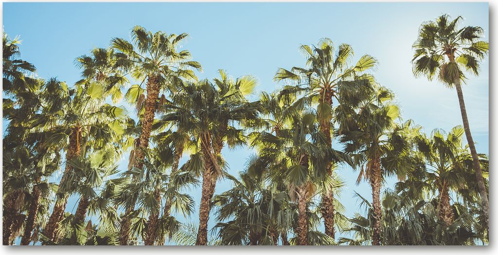 Tulup Leinwandbild - 120x60 cm - Wandkunst - Drucke auf Leinwand - Leinwanddruck - Landschaften - Grün - Hohe Palmen