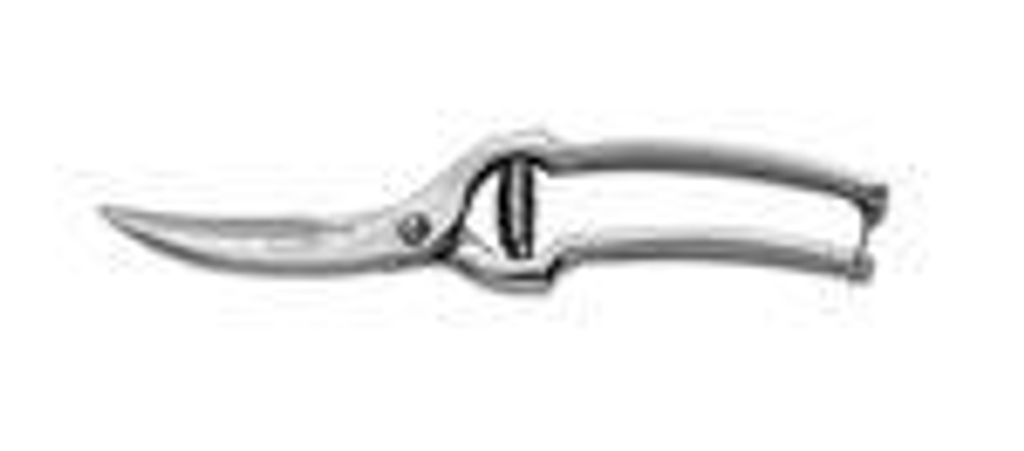 F. DICK Geflügelschere (rostfrei, Länge 24 cm) 90083252 Image du produit 