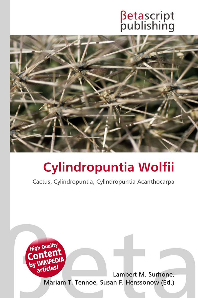 Cylindropuntia Wolfii