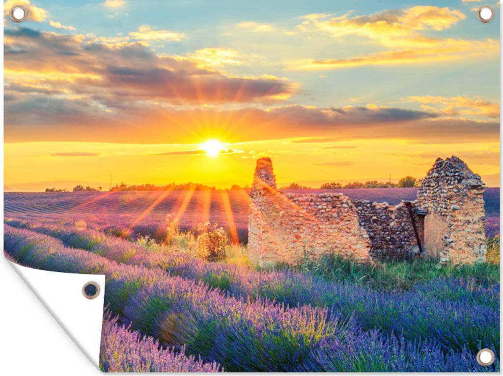 MuchoWow 80x60 cm Outdoor-Poster Gartendeko Sichtschutz Garten Poster für den Garten Lavendel - Sonnenuntergang - Ruine - Lila