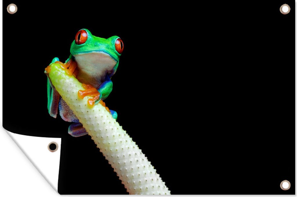 MuchoWow 120x80 cm Outdoor-Poster Gartendeko Sichtschutz Garten Poster für den Garten Frosch - Tier - Pflanze