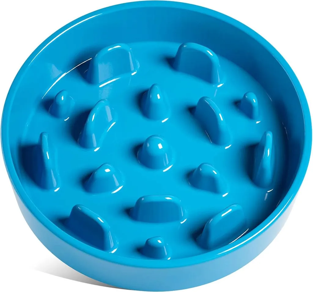 Bol Slow Feeder Céramique pour Chien Moyen - Gamelle Design Antidérapant