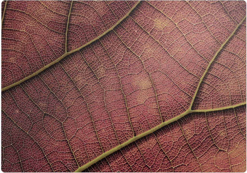 Struktur des Blattes – Bodenschutzmatte – Stuhlunterlage 100x100 cm – Rutschfest – Hartbodenmatte