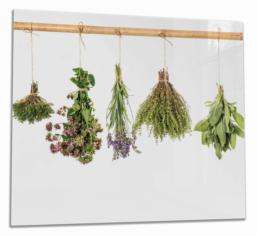 Wallario Herdabdeckplatte aus Glas, Größe 60 x 52 cm 1-teilig, Motiv Verschiedene Kräuter an der Leine