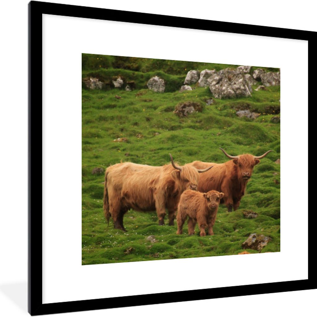 MuchoWow Gerahmtes Poster Schottische Highlander-Familie 40x40 cm - Poster mit Schwarzem Bilderrahmen Wandposter Rahmen Foto Bilder - Poster - Pl...
