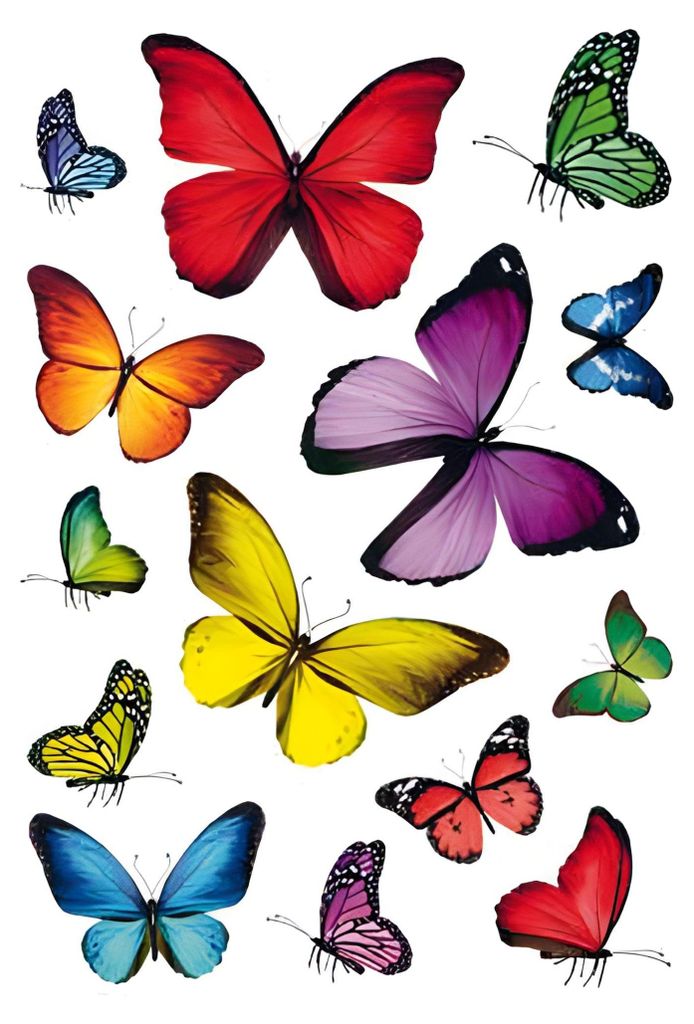 HERMA 3084 Sticker DECOR "Schmetterlingsvielfalt"(S) Immagine del prodotto 