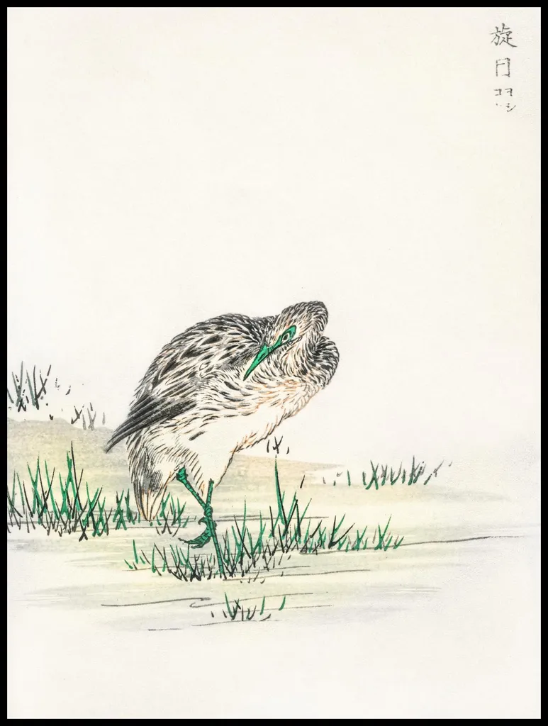 Poster Japandi 75x100 Little Bittern Kashu - Decorazione Parete Salotto