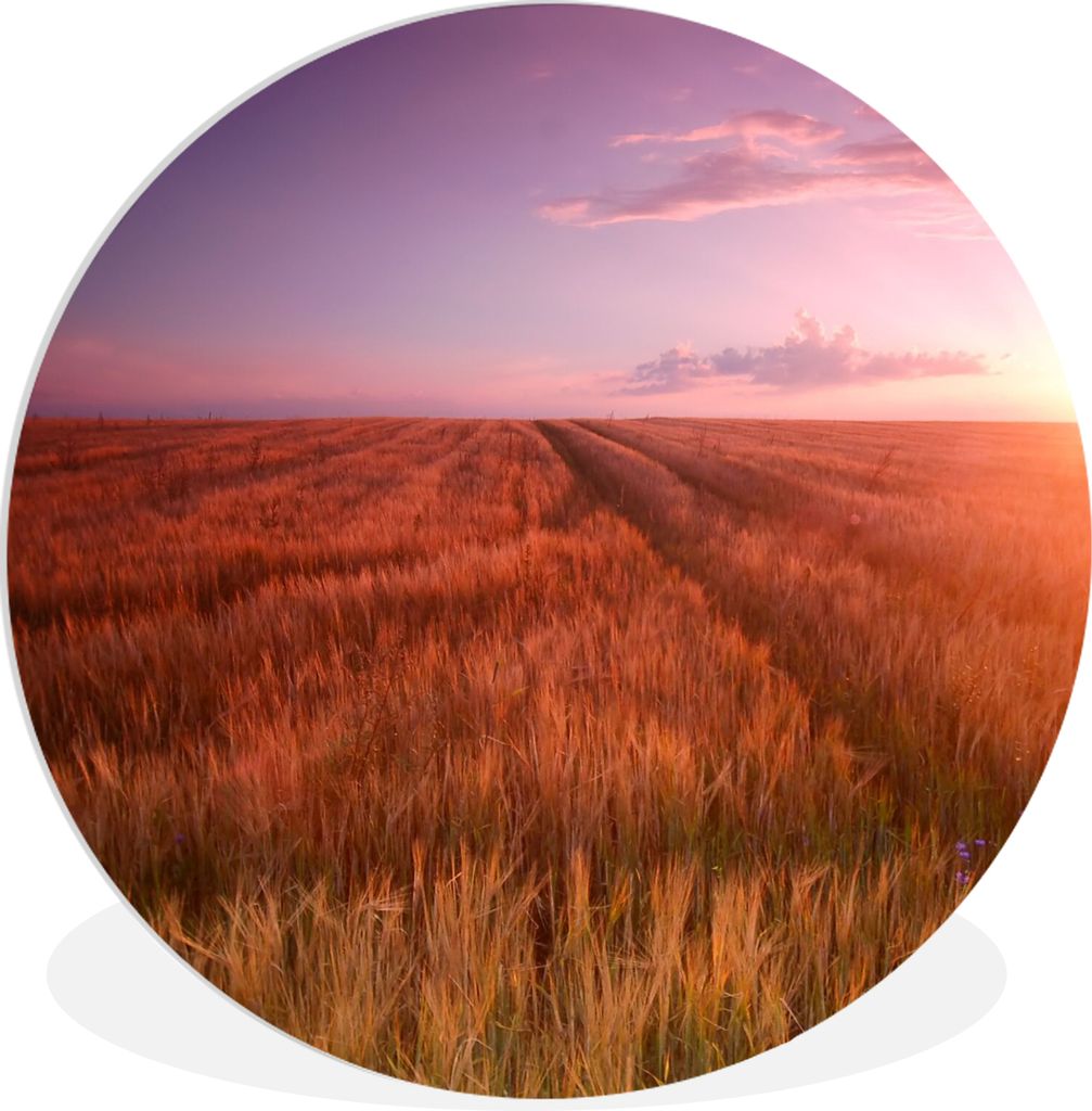 MuchoWow Rundes Wandbild - Runde Bilder Wiese - Sonne - Abend - Landschaft Ø 60 cm Kreis Wanddekoration Kunststoff - Wandkreis - Wandschmuck - W...