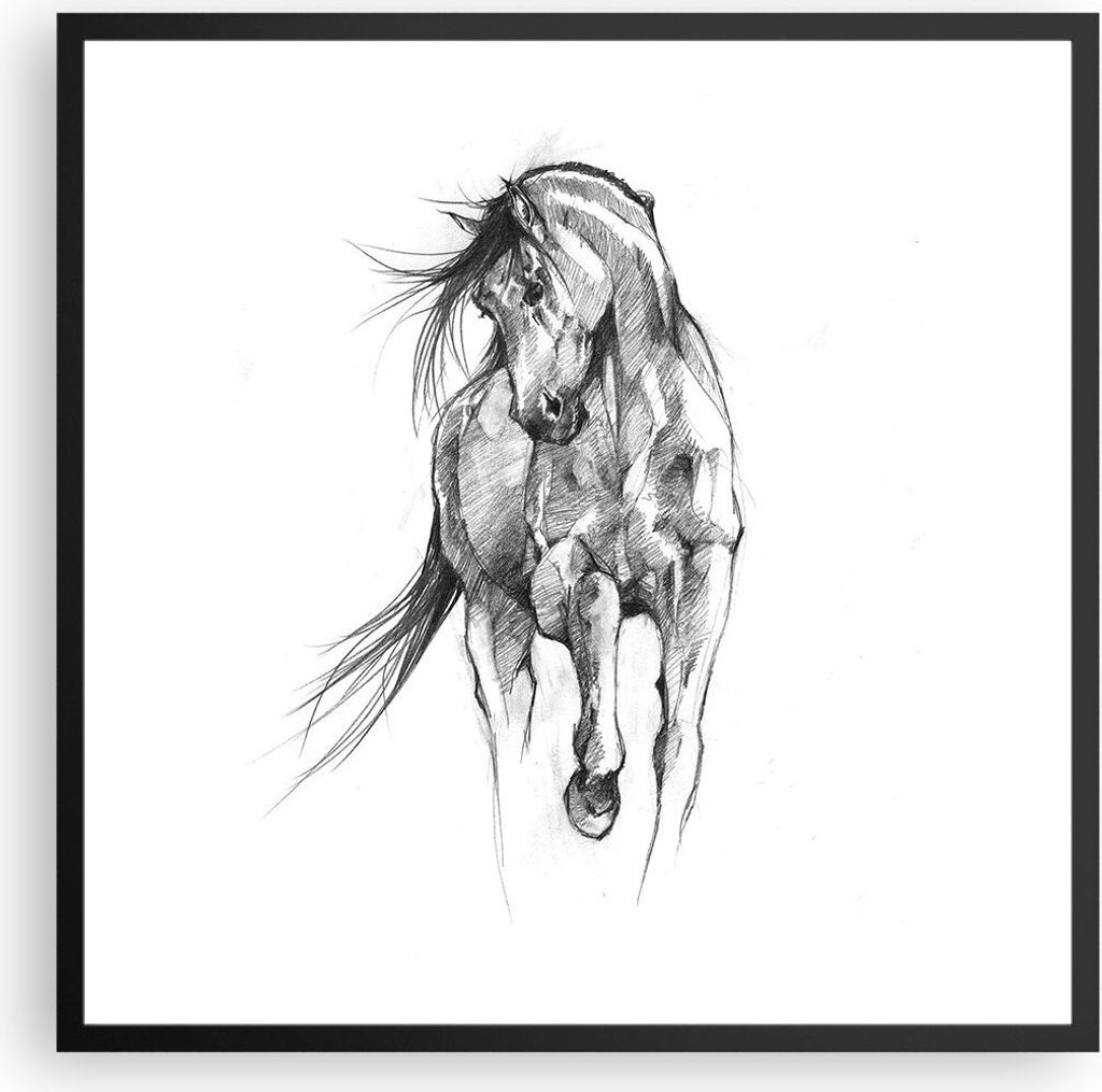 Gerahmtes Poster - Schwarzer Rahmen - Pferd Galopp Tier - 60x60 cm - Wand Bild - Wanddeko - Wandbilder - Kunstposter - Wandposter - Bilderrahmen - ...