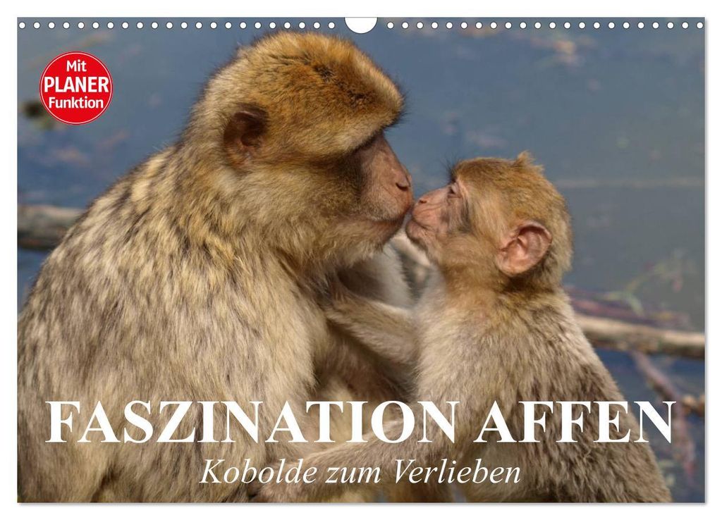 Faszination Affen. Kobolde zum Verlieben (Wandkalender 2027 DIN A3 quer), CALVENDO Monatskalender