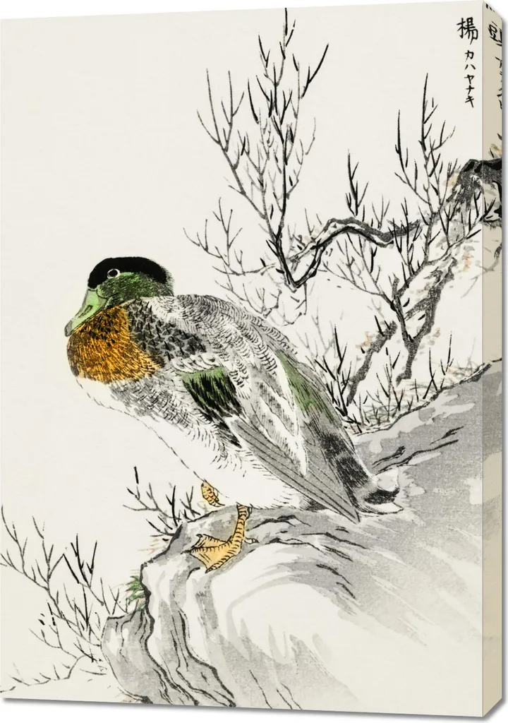Poster Vintage Kashu Japonais Canard Colvert, Papier Premium 70 x 100 cm