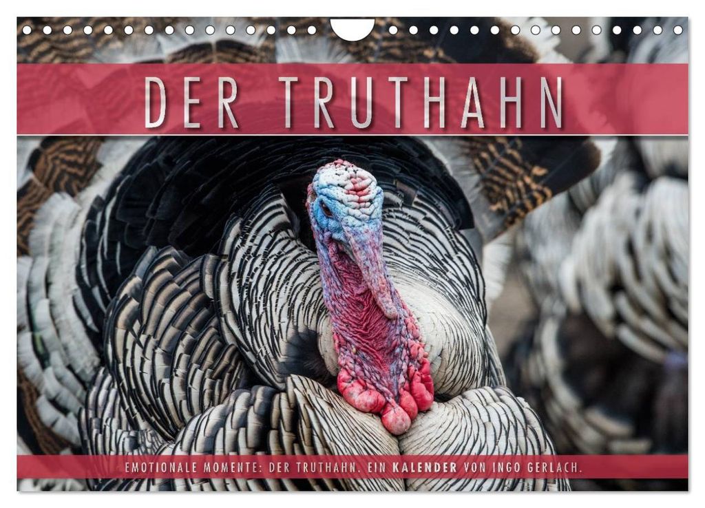 Emotionale Momente: Der Truthahn. (Wandkalender 2027 DIN A4 quer), CALVENDO Monatskalender