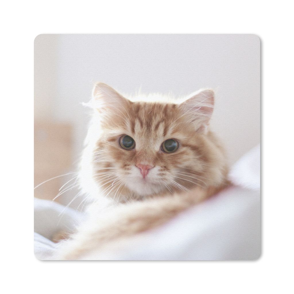 MuchoWow Mauspad Mousepad Katze - Rot - Bett - Mädchen - Kinder - Jungen 20x20 cm - Mousepads - Maus Mat - Pad - Mausunterlage - Desk Mat - Bure...
