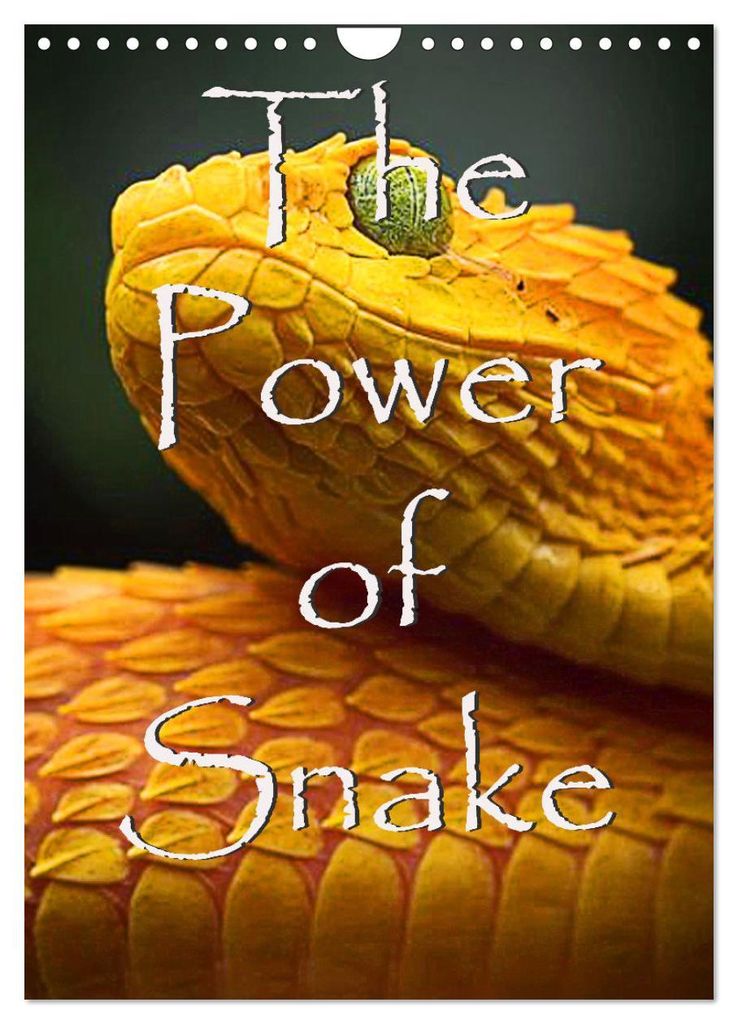 The Power Of Snake (Wandkalender 2027 DIN A4 hoch), CALVENDO Monatskalender