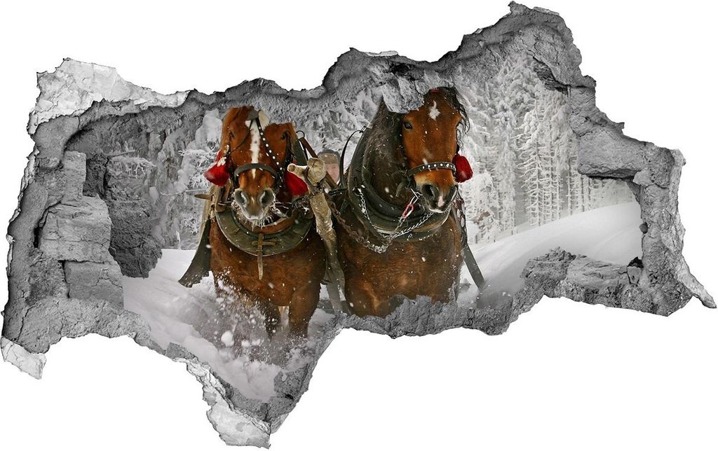 Selbstklebender Loch-3D-Aufkleber 95x73 cm Kulig