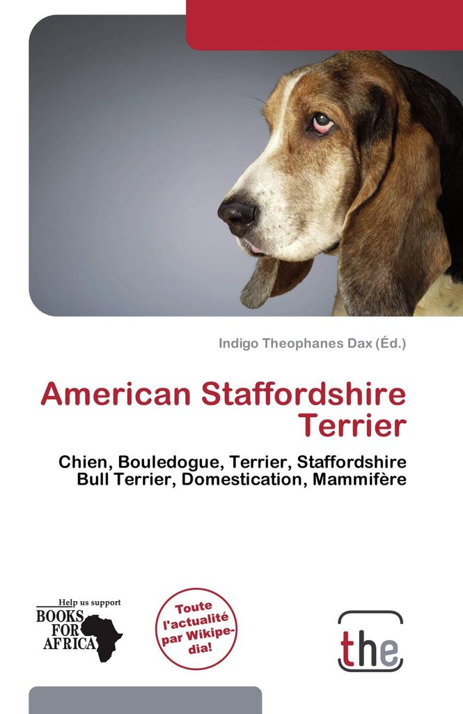 American Staffordshire Terrier