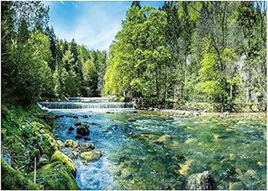 WallArena Fotomurale TNT 350x250cm Natura Bosco 3D - Kit Colla Gratis