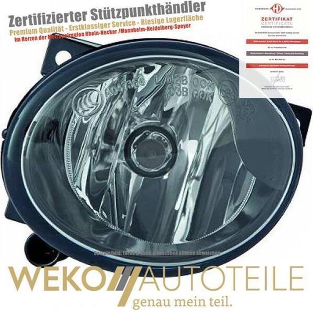 Nebelscheinwerfer links DIEDERICHS 1663189 für MERCEDES-BENZ