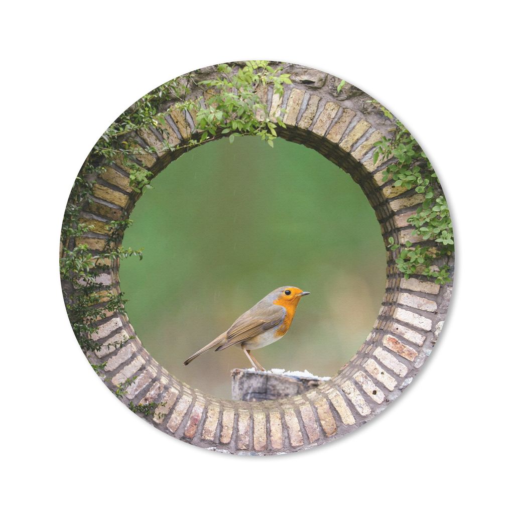 MuchoWow Mauspad Mousepad Vogel - Durchblick - Rotkehlchen 40x40 cm - Mousepads - Maus Mat - Pad - Mausunterlage - Schreibtisch Accessoires