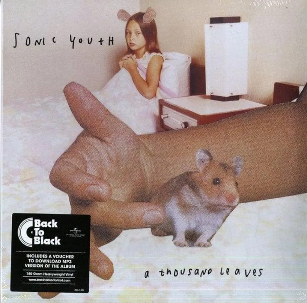 Sonic Youth - A Thousand Leaves Vinyle Double LP - Édition Limitée 2 LP