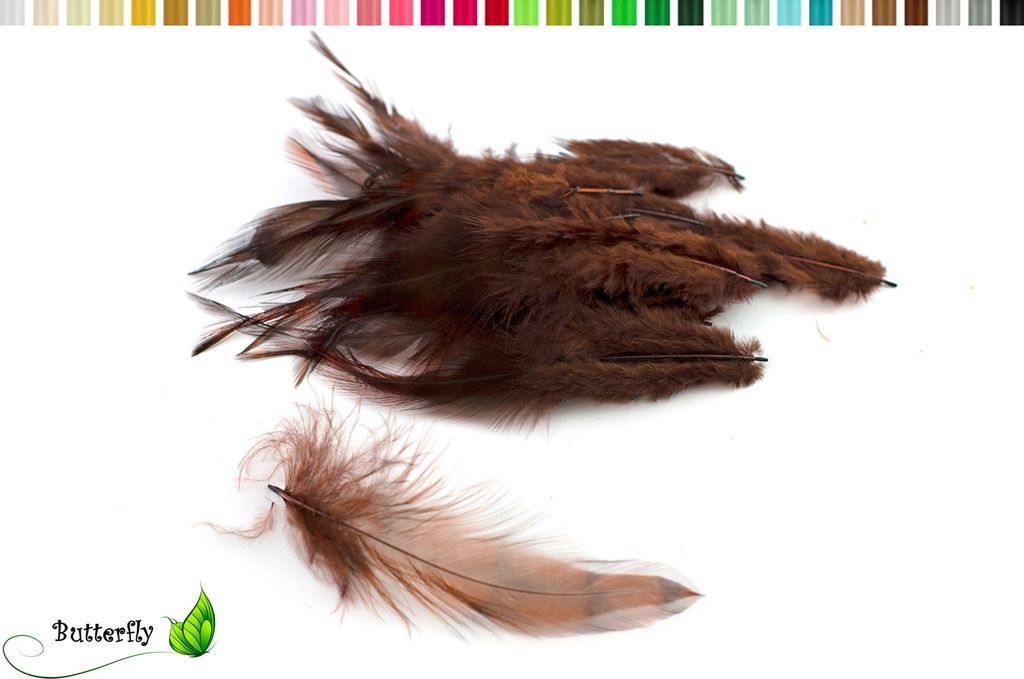 20 Hahnenfedern CHINCHILLA ca. 8-13cm, Farbauswahl:braun Produktbild 
