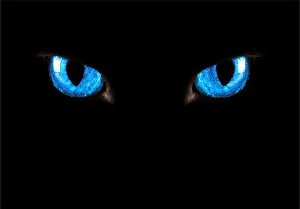 Wallario Fototapete Vliestapete, seidenmatte Oberfläche, einfache Verarbeitung, Größe 300 x 210 cm, Motiv Blaue Katzenaugen bei Nacht