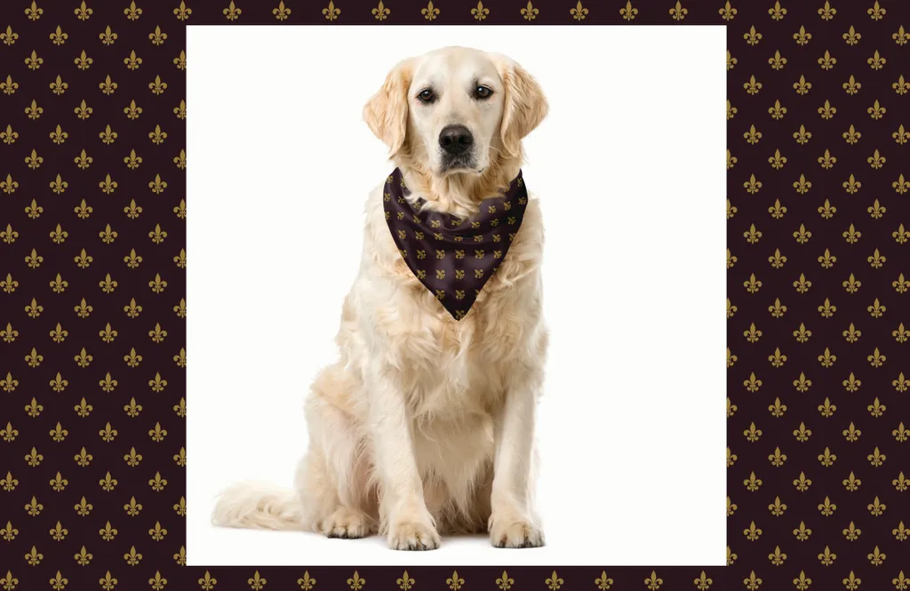 Acquista Bandana Cani Fleur De Lis Bordeaux ABAKUHAUS 55x55 cm