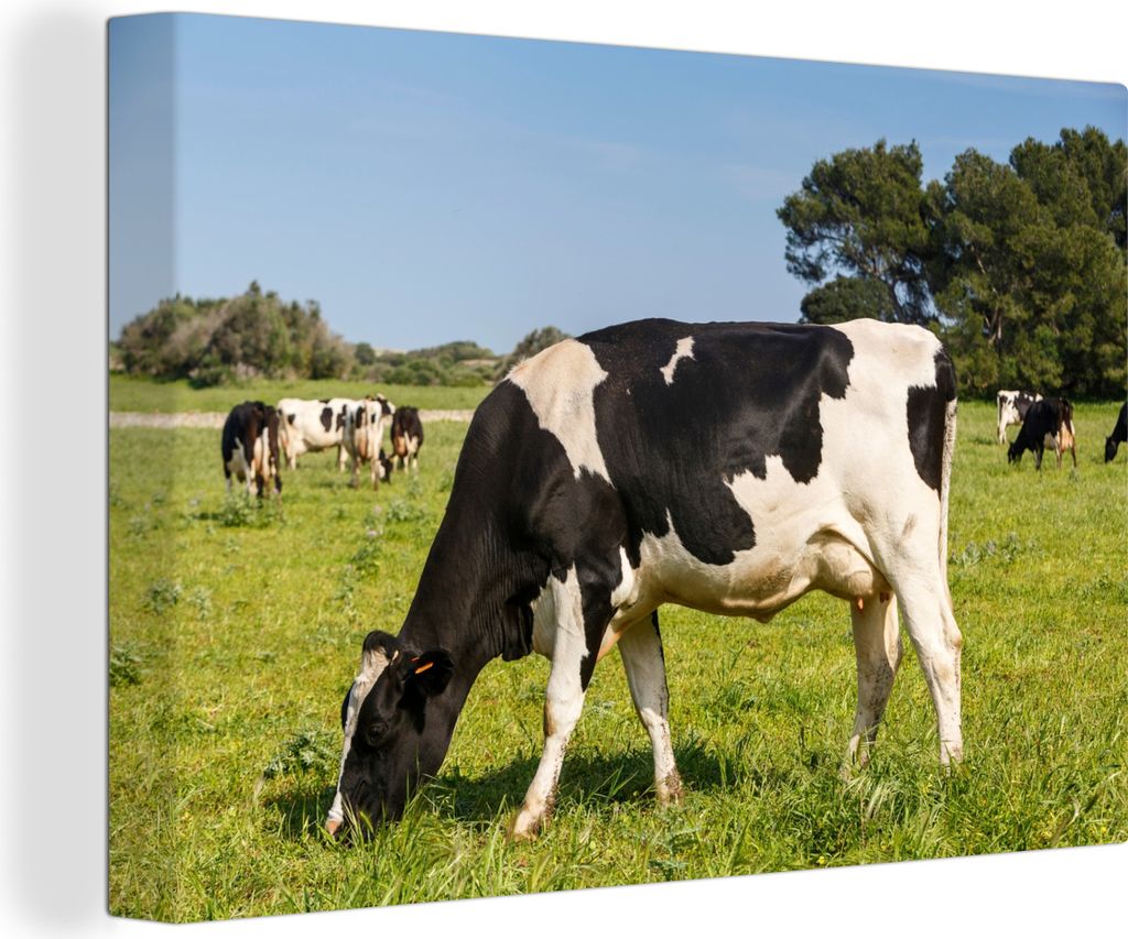 OneMillionCanvasses - Leinwandbilder - 150x100 cm, Kuh - Gras - Tiere - Wald, Wandbilder Kunstdruck Wanddekoration