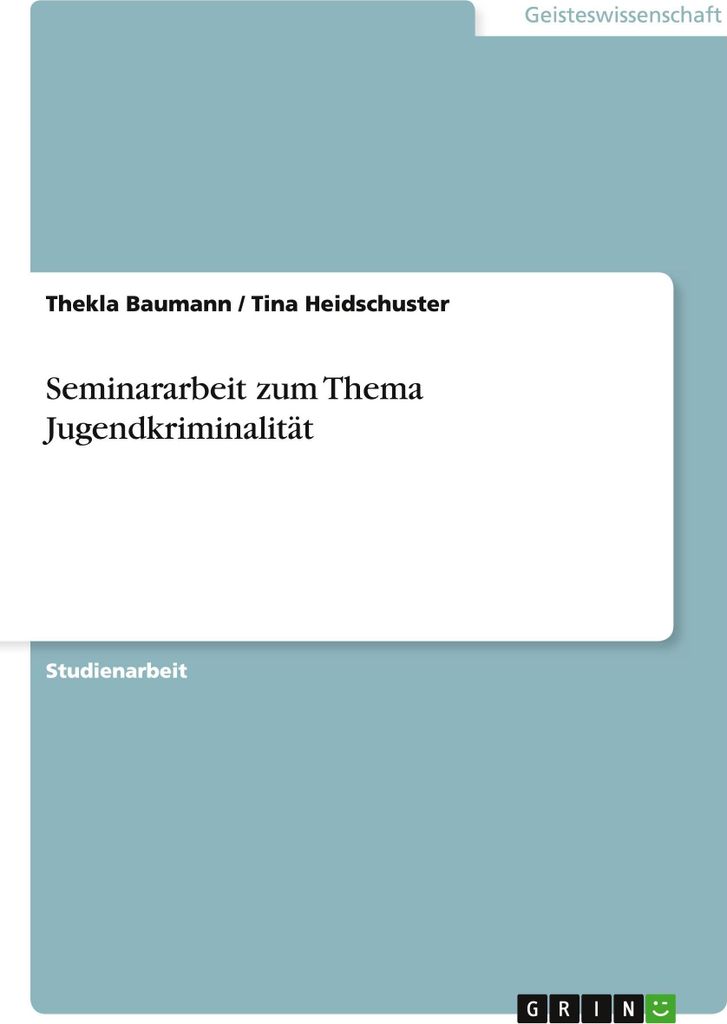Seminararbeit zum Thema Jugendkriminalität