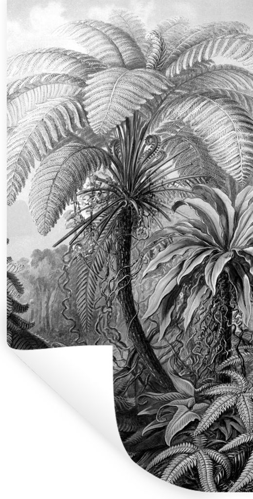 MuchoWow Wandtattoo Wandsticker Wandaufkleber Pflanzen - Schwarz und weiß - Design - Illustration - Botanisch 40x80 cm Selbstklebend und Reposit...