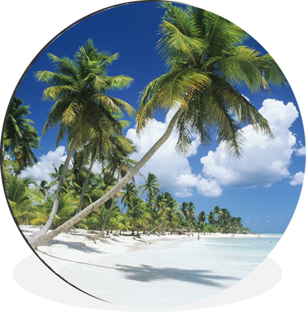 MuchoWow Aluminium Wandkreis Strand - Palme - Tropisch Ø 90 cm Wanddeko Modern Wohnzimmer - Mauerkreis - Wandbilder - Runde Bild - Bild aus Alum...