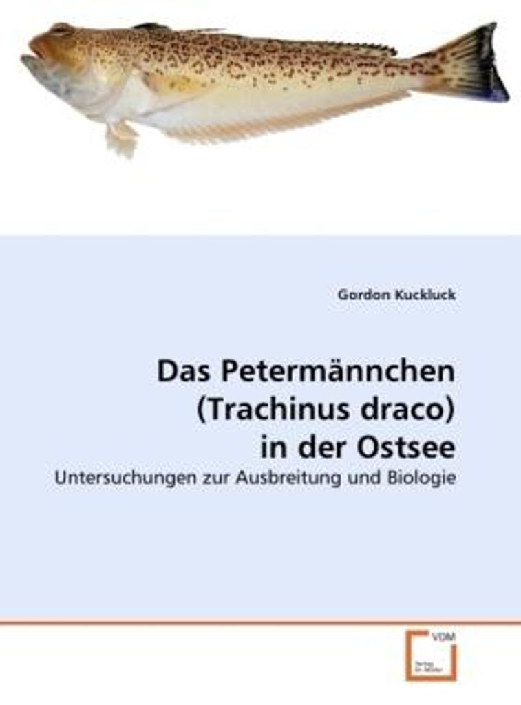 Kuckluck, G: Petermännchen (Trachinus draco) in der ¿Ostsee