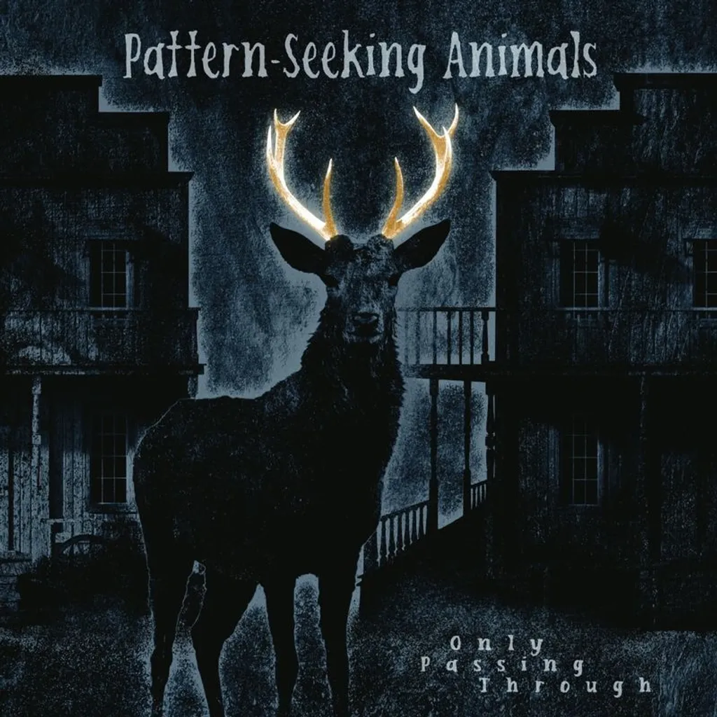 Only Passing Through Vinyle 180g Pattern-Seeking Animals Edition Audiophile