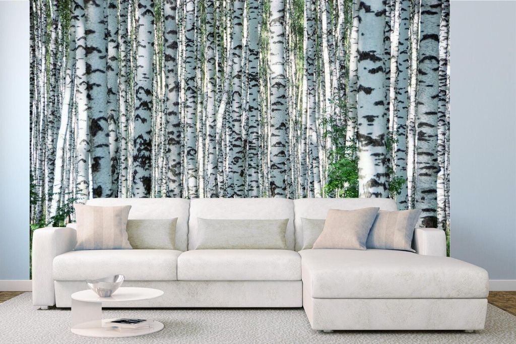 Vlies Fototapete SOMMERTAG IM BIRKENHAIN 375 x 250 cm (inkl. Kleister) - Vlies Tapete, Wandtapete, Wandbilder - Tapete für Wohnzimmer Schlafzimmer...