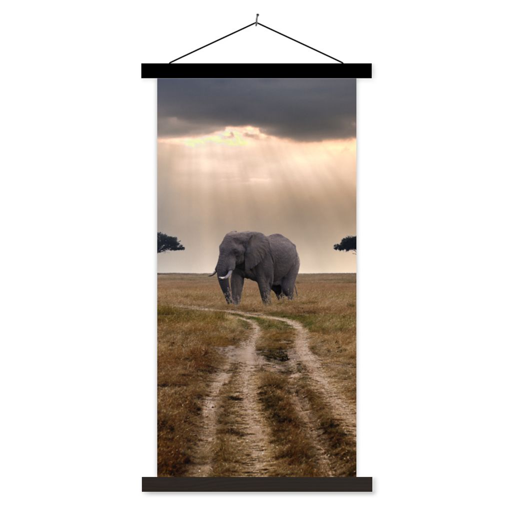 MuchoWow Textilposter Elefant - Tiere - Wiese - Sonne 90x180 cm mit schwarzem Rahmen - Dekoration Wohnzimmer