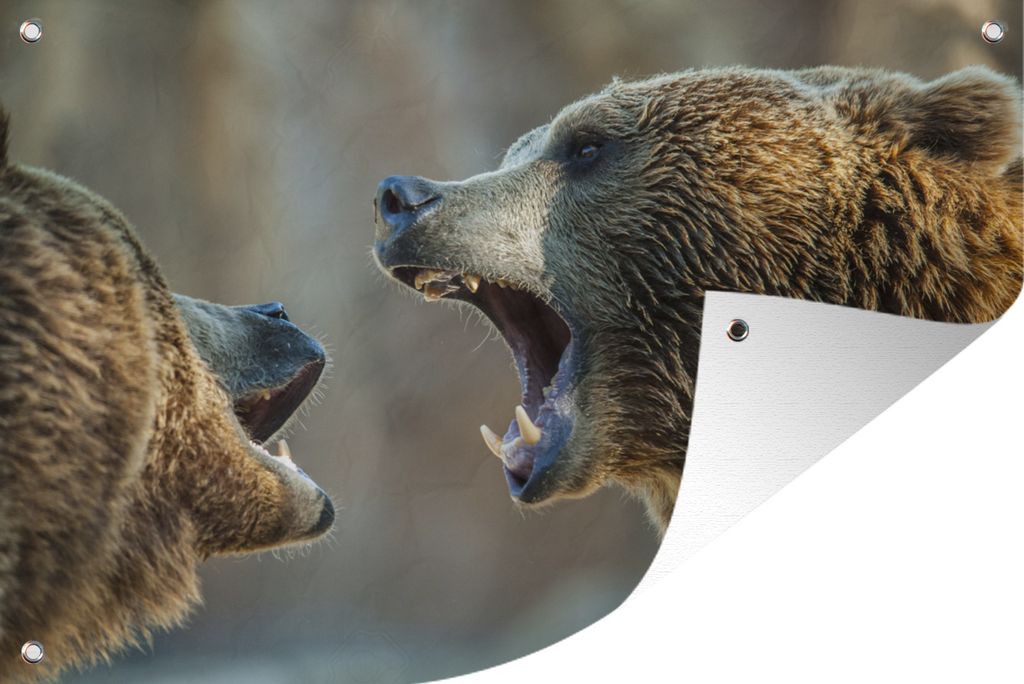 MuchoWow 120x80 cm Outdoor-Poster Gartendeko Sichtschutz Garten Poster für den Garten Bären - Spiele