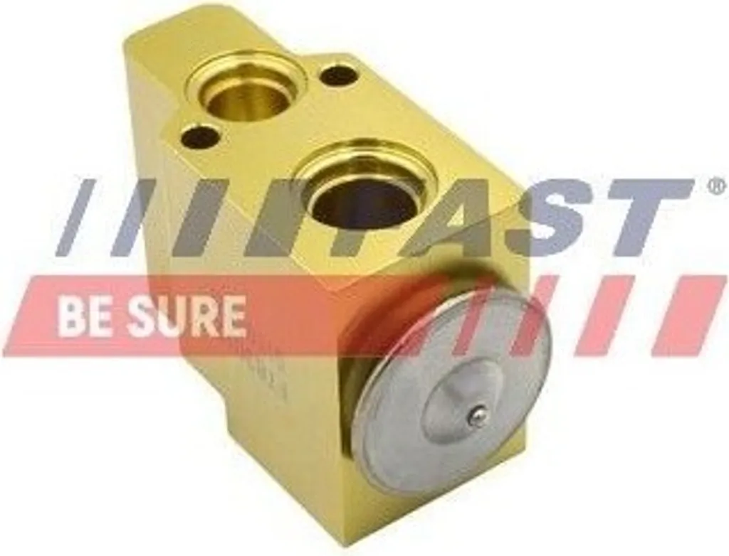 Soupape d'Expansion de Clim pour Renault Megane III et Scenic III FAST