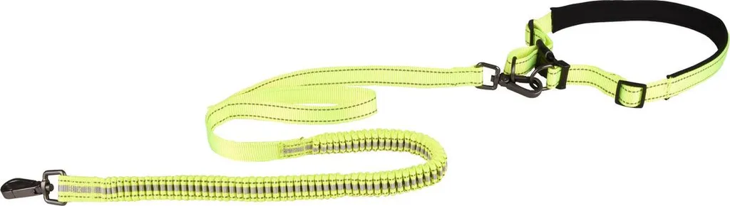 Laisse de jogging extensible Flamingo et ceinture Diran S anti-traction