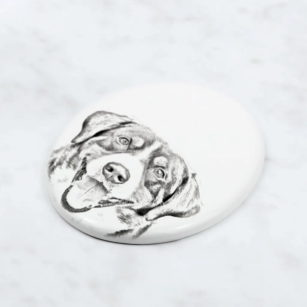 Art-Dog Targa Commemorativa Bovaro dell'Entlebuch | Ceramica Ovale - 4