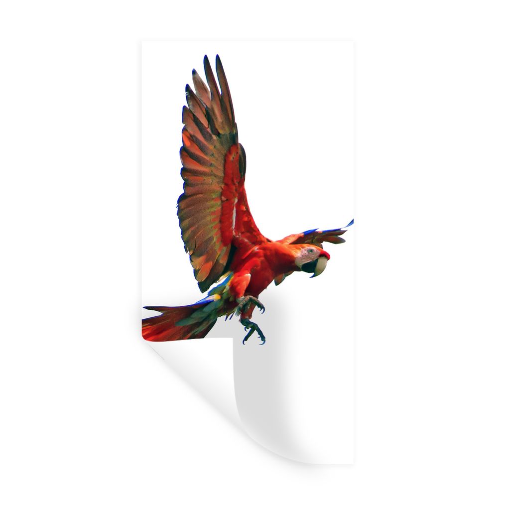 MuchoWow Wandtattoo Wandsticker Wandaufkleber Ara - Vogel - Porträt 80x160 cm Selbstklebend und Repositionierbar - Sticker - Dekorfolie