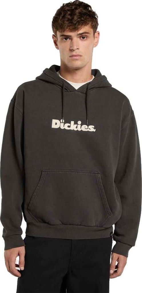 Dickies Slayden Gd Hoodie L Muž L Obrázok produktu 