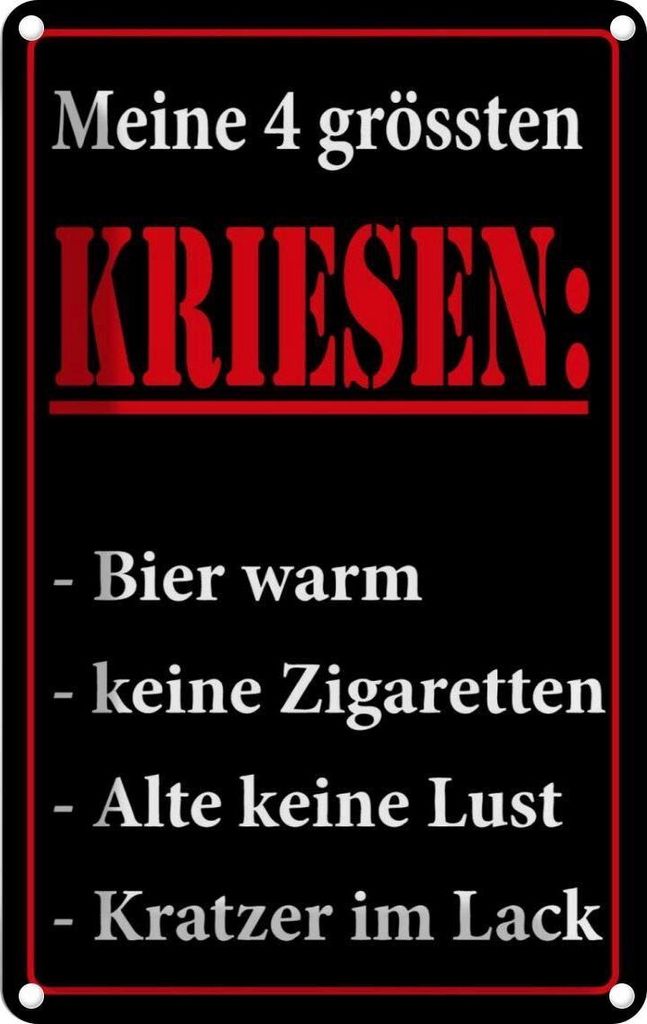 vianmo Blechschild 30x20 cm Meine 4 grössten Kriesen Dekoration Spruch Zitat