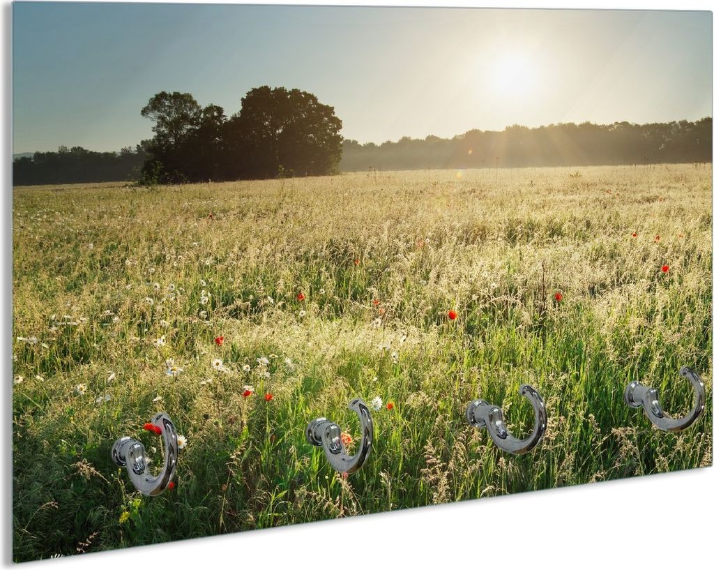 Wallario Schlüsselbrett aus Glas, Motiv: Wiese im Licht der Abendsonne, 30 x 20 cm mit 4 Haken